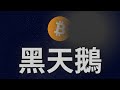 比特幣下一個黑天鵝事件 如何面對 比特幣下一個黑天鵝事件 如何面對