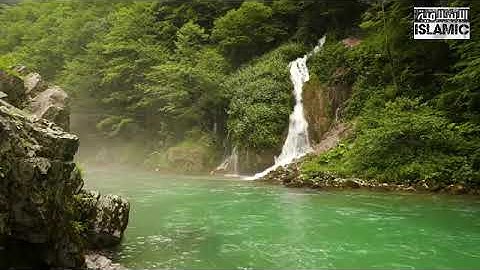 سورة يس الشيخ محمد حسين عامر