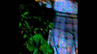 SG #47 Mr.Paka420 Evening walk thru the Garden