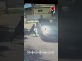 Italy Horror: 4 Pakistani Workers Burned Alive in a Van