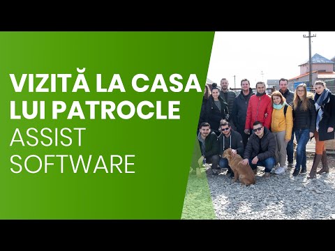 Povestea cățeilor din adăpostul “Casa lui Patrocle” | ASSIST Software