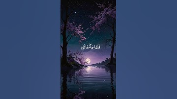 سورة النمل القارى ياسر الدوسري #اكسبلور #ياسر_الدوسري #يوتيوب #ياسر_الحزيمي