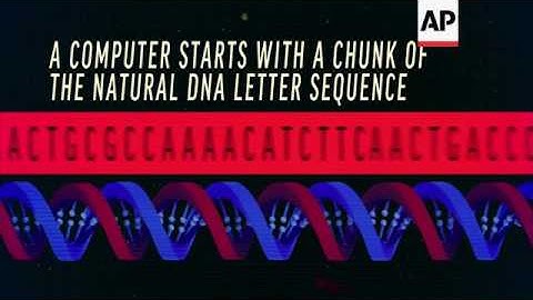 Scientists build DNA from scratch to alter life