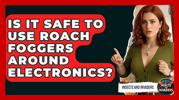 Is It Safe To Use Roach Foggers Around Electronics? - Insects and Invaders