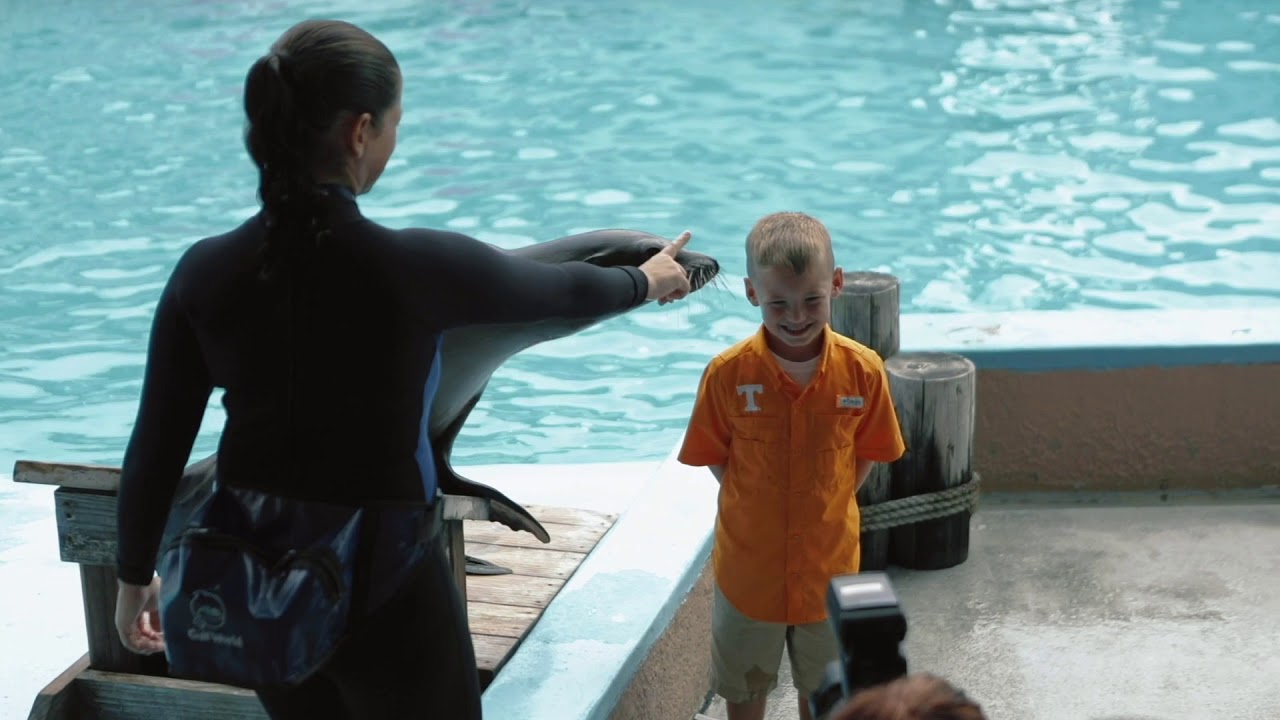 Gulf World Commercial 2019 Shows