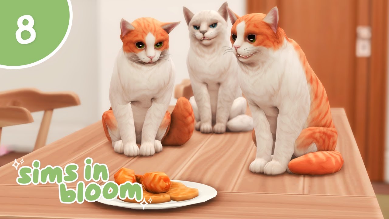 🍃 who needs kids when you have cats ♡ the sims 4 sims in bloom gen 2