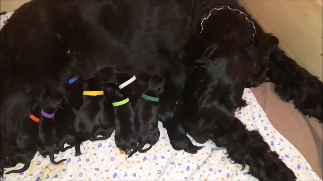 Flora z mladički - 1. dan