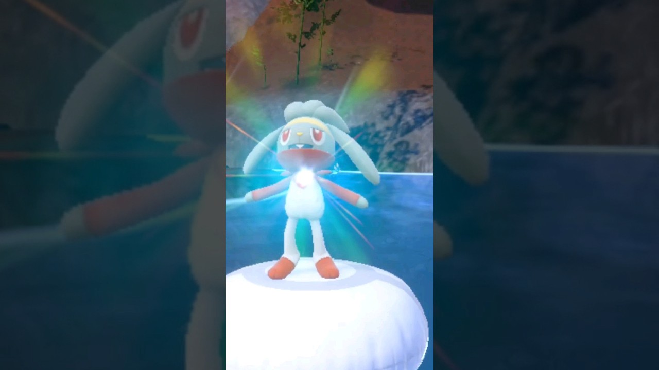 Evolving SHINY Raboot [Pokemon Scarlet] 