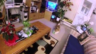 brdtv3 11