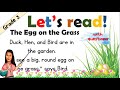 Grade 3 Reading Comprehension Practice - Part 3