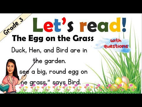 READING COMPREHENSION GRADE 3 PART 3 PRACTICE READING 