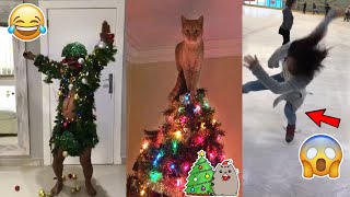 [TRY NOT TO LAUGH 😂 - Funny CHRISTMAS ❄️ FAILS | XMAS TREES🎄 AND CATS 🐈| Best of 2019]