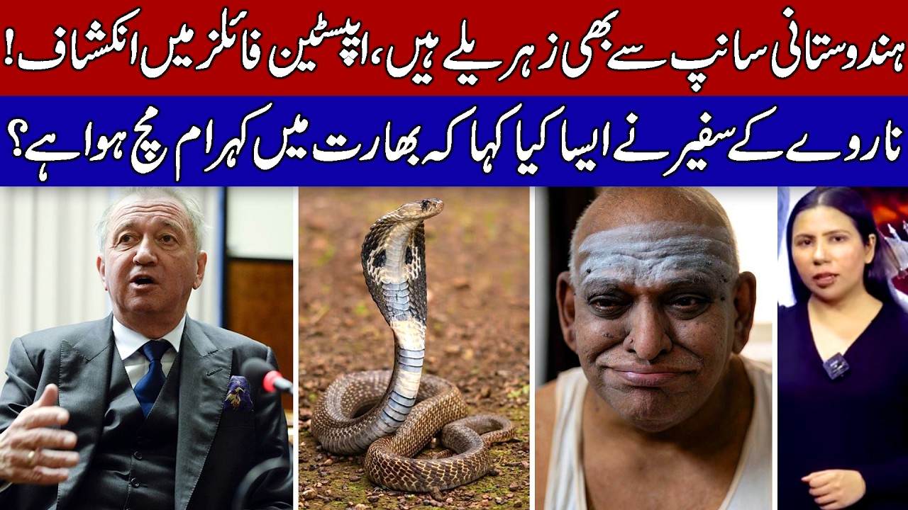 Why did Norwegian Ambassador Larsen Severely Insult Indians?