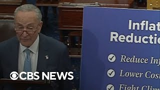 Senate passes Democrats' climate, health and tax bill