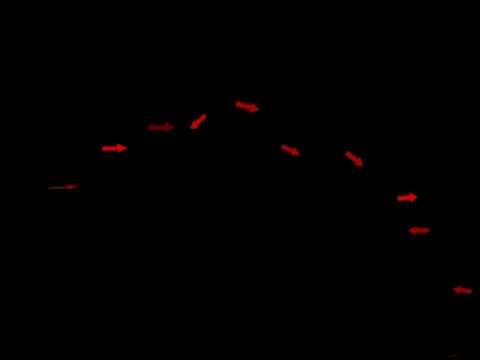 Maya Dynamics Uni Tutorial - Instancing Pointers