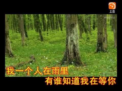 陈瑞   老地方的雨3   DJ舞曲1