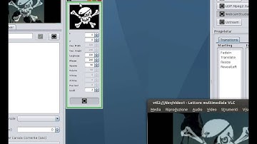 Testing WS Module V4l2loopback