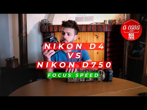 Nikon D4 vs Nikon D750 | Focus Speed | 300 f2.8 VR