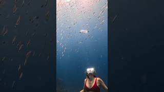 Underwater Ring 😍
