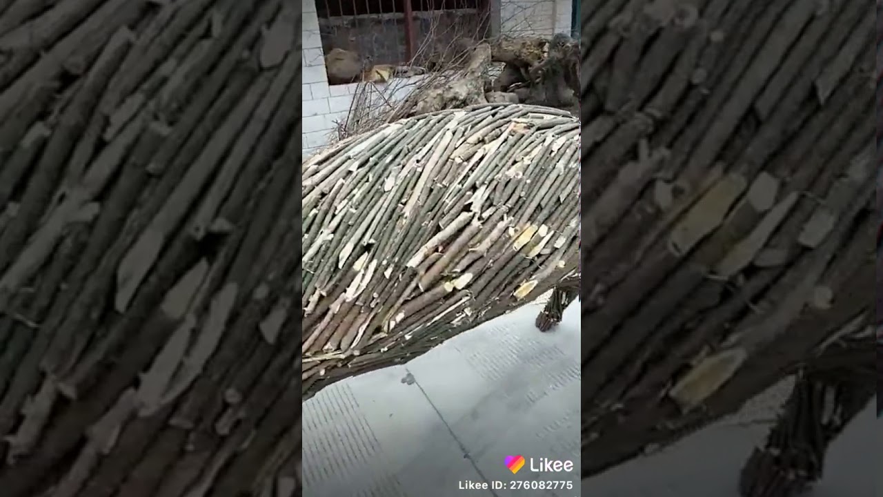 Make animal
