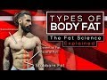 4 TYPES OF BODYFAT YOU MUST KNOW (The Fat Science Explained)