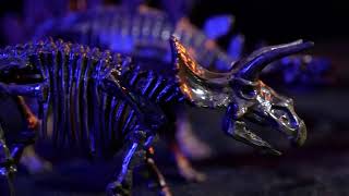 Amazon com  JamBer Juego de dinosaurios de excavación, kit de excavación de dinosaurios fósiles para screenshot 2