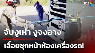จับงูเห่า งูจงอาง เลื้อยซุกหน้าห้องเครื่องรถ! | 25 มิ.ย. 68 | คุยข้าวเช้าช่อง8