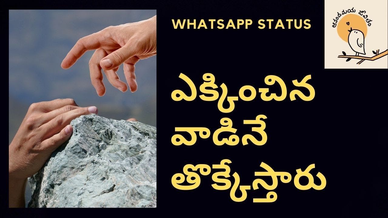 4th February 2021 special Nila WhatsApp status - YouTube | Status, Special,  February