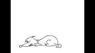 Sleeping Dog Animation Test