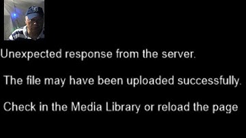 WordPress Videos Won