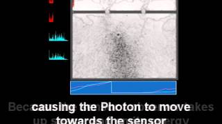 Quantum Observer Effect