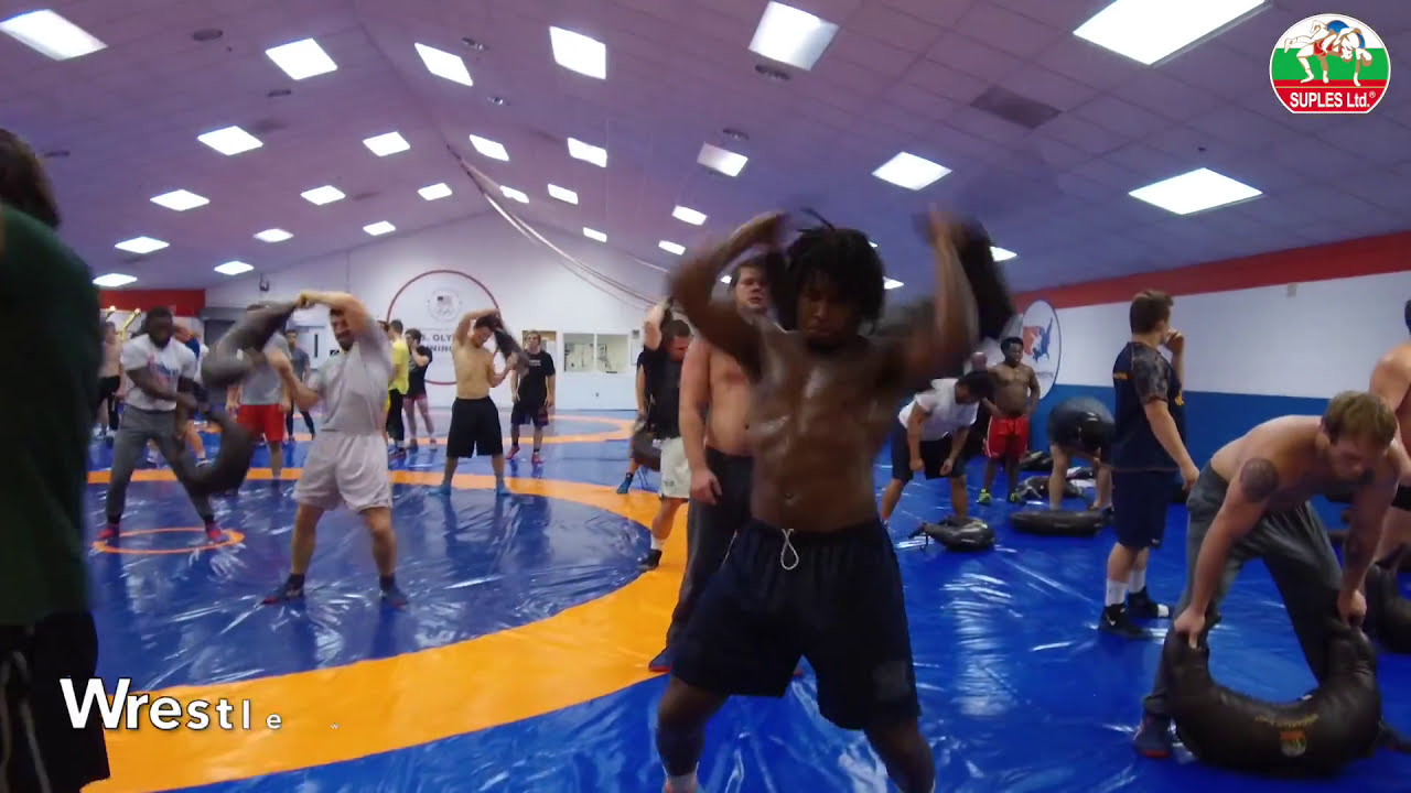 불가리안 백 - 나무위키