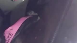 Three men shot an killed while live streaming