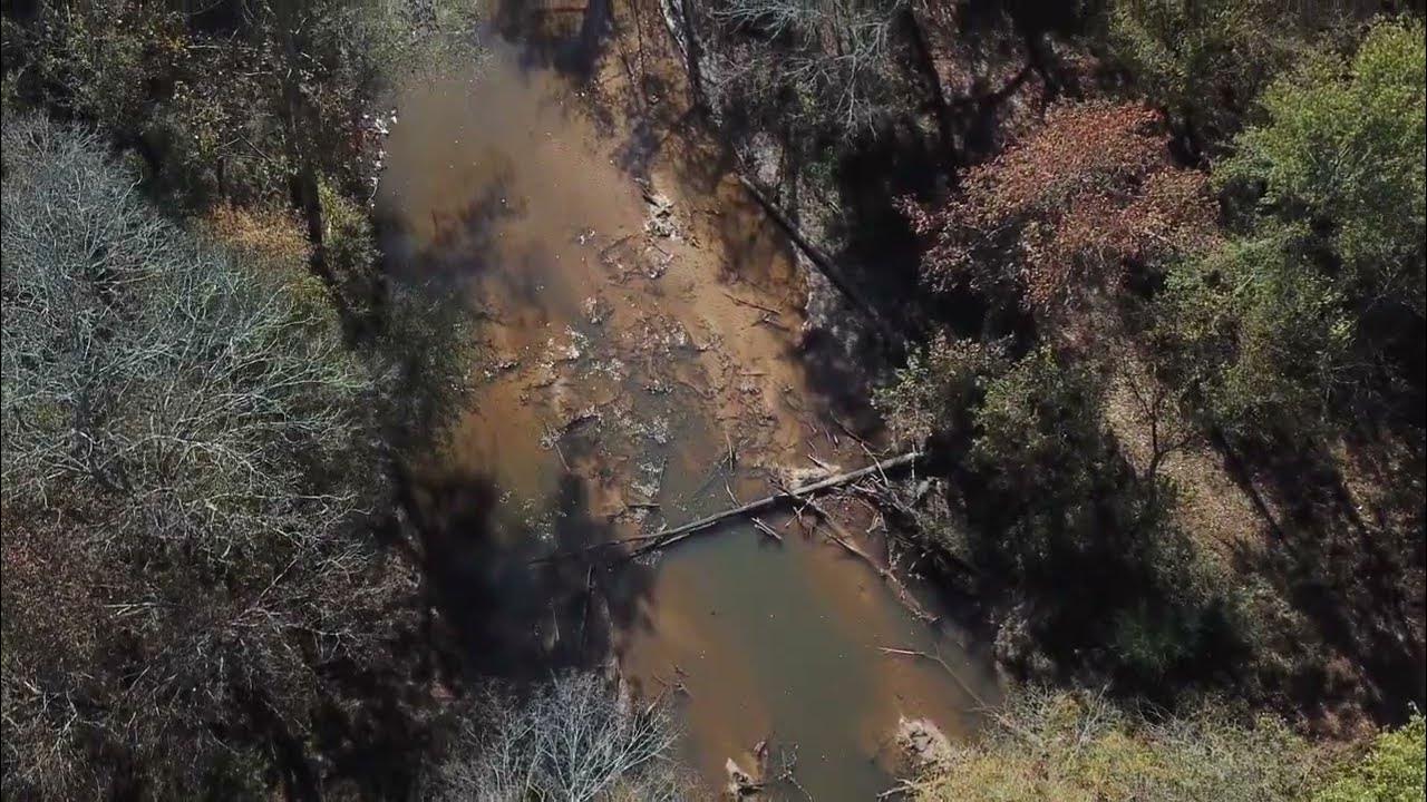 Big Black River Land for Sale Montgomery Timber Co. YouTube