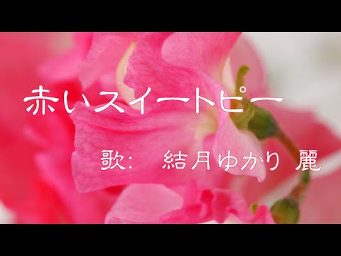 「赤いスイートピー」を結月ゆかり麗にアイドルっぽく歌ってもらった／CeVIO AI 耳コピ カバー