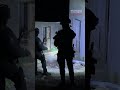 Los Mossos d'Esquadra detienen a varios miembros de una organización criminal por cultivar marihuana