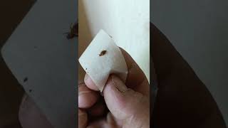 Khatmal Pakdane Ka Aasan Tarika..