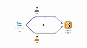 [Archived] Compare and Merge Directories Against a Common Base in Oxygen XML Editor 18.1
