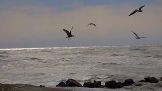 5 Minrelaxing  With Beautiful Nature Scenery