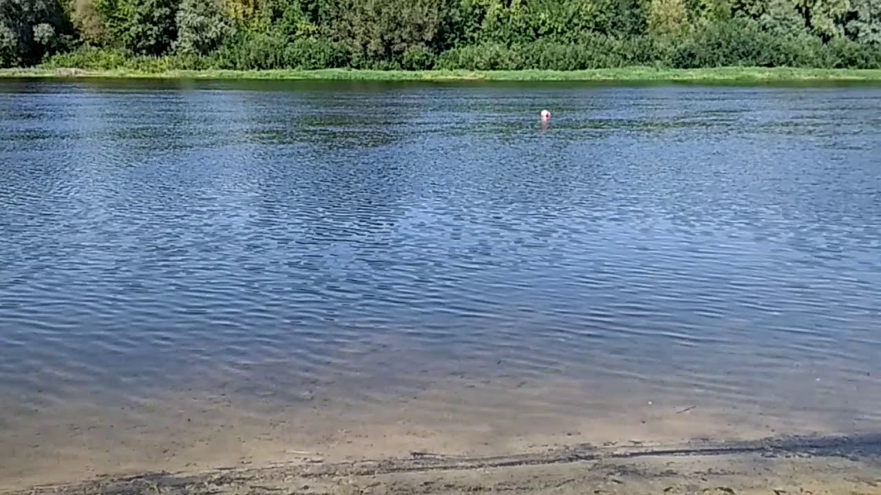 Уровень воды сож в славгороде сегодня реке