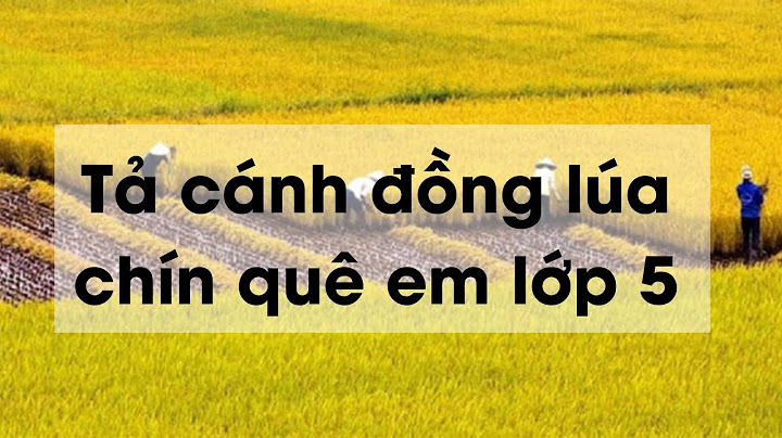 Hướng dẫn tải bài văn cảnh đồng lúa lớp 5