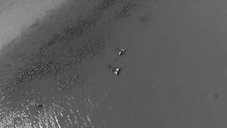 Ananova - Shipwreck Filmed For Last Time Before Being Lost Forever