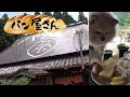 古民家のパン屋さん🍞 美味しすぎ~😋