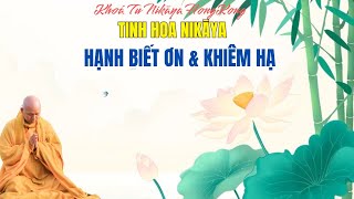 Tinh Hoa NIKAYA - Hạnh Biết Ơn & Khiêm Hạ - Khoá Tu NIKAYA HONGKONG