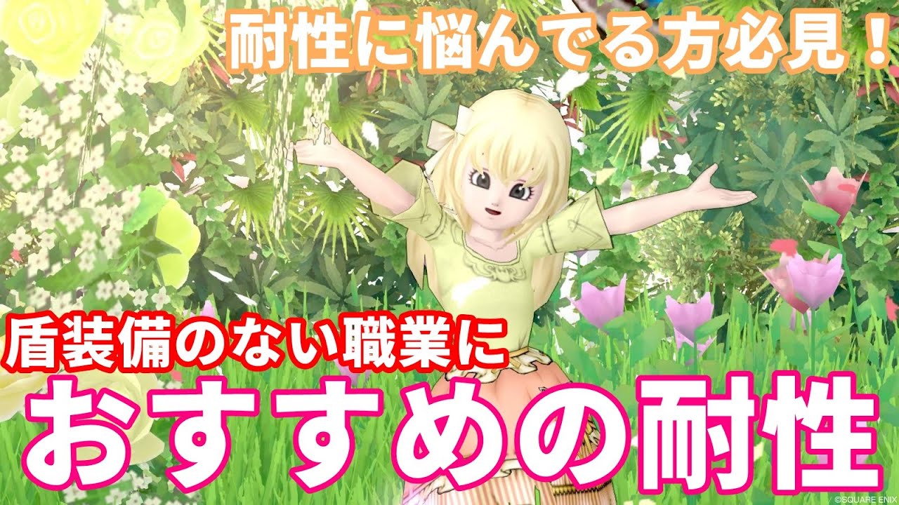 盾装備のない職業におすすめな耐性【ドラクエ10】てぃあのちいさな冒険日記