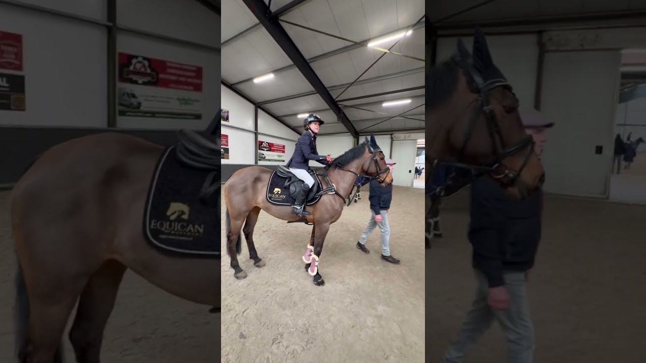 Utrechts kampioenschappen 2026 indoor 