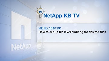 How to set up file level auditing for deleted files