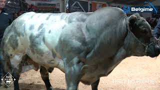 Tiret Du Rivage 2022