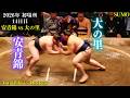 安青錦 優勝へ向けて横綱 大の里を撃破なるか⁉️【大相撲 初場所 14日目】2026年1月24日 Sumo Aonishiki vs Onosato Day-14