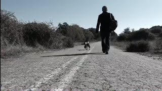 Real life Fallout 4 - Bug-out España